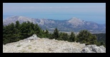 Kefalonia - Ainos National Park -20-06-2021 - Bogdan Balaban